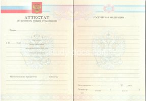 Аттестат за 9 класс 2007-2010 в Пскове